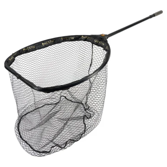 fishline202606090159463360304