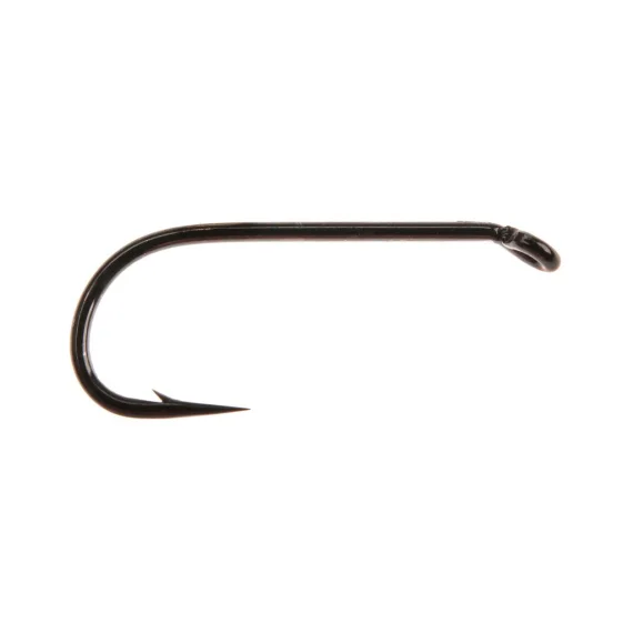 fishline202606090224183360599