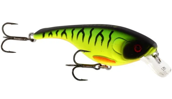 fishline202606090245083360887
