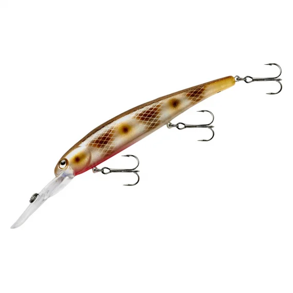 fishline202606090249163360938