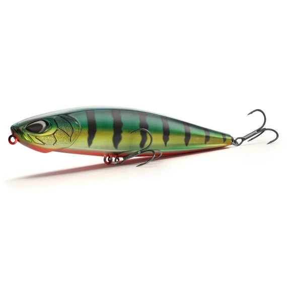 fishline202606090251323360968