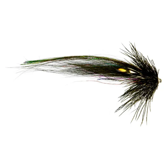 fishline202606090312003361247