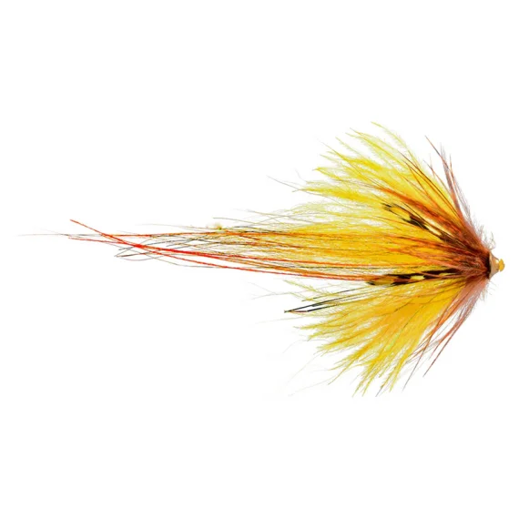 fishline202606090316393361294