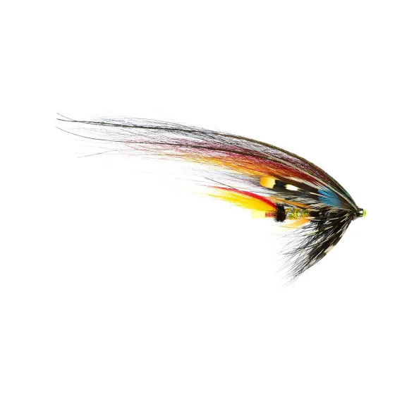 fishline202606090353473361755