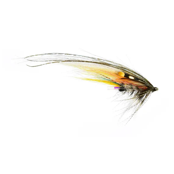 fishline202606090358073361808