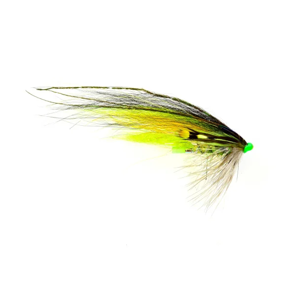 fishline202606090424163362151