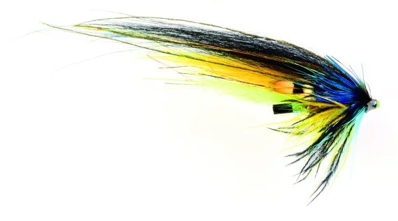 fishline202606090424293362154