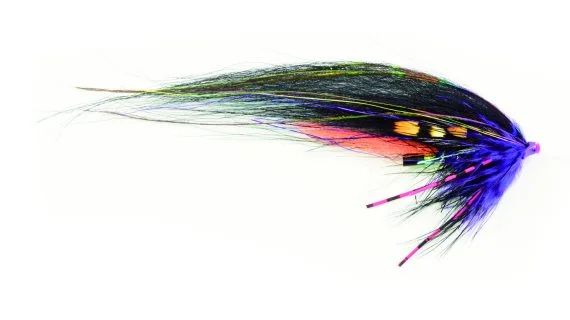 fishline202606090425083362163