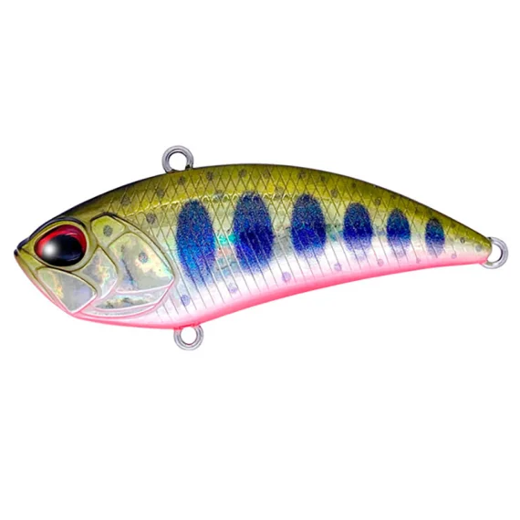 fishline202606090439513362371
