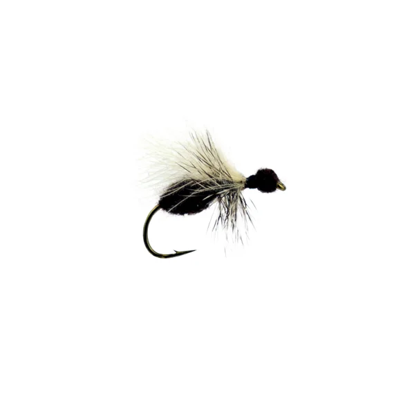 fishline202606090517593362941