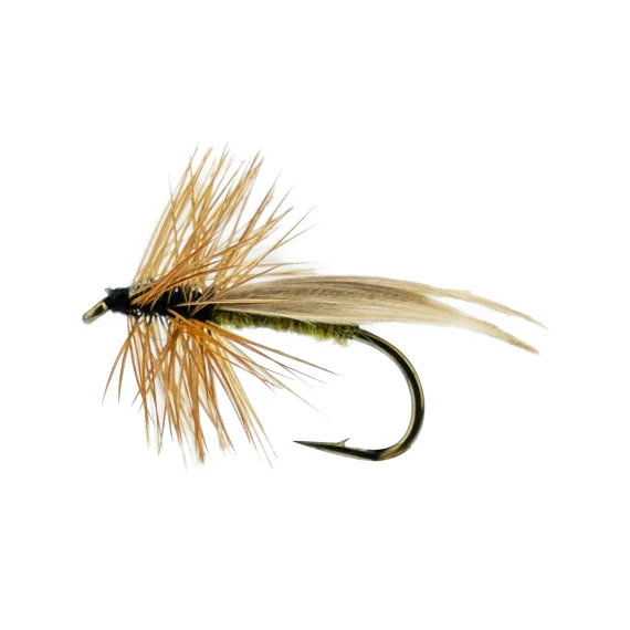 fishline202606090520063362973