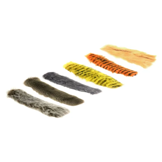 fishline202606090538223363243