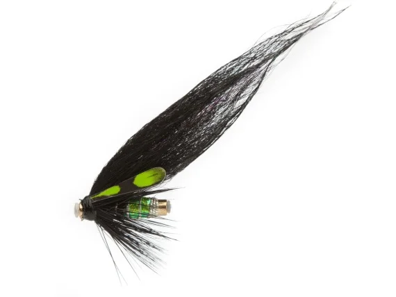 fishline202606090555063363499