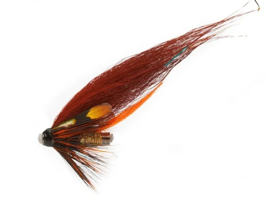 fishline202606090555103363501