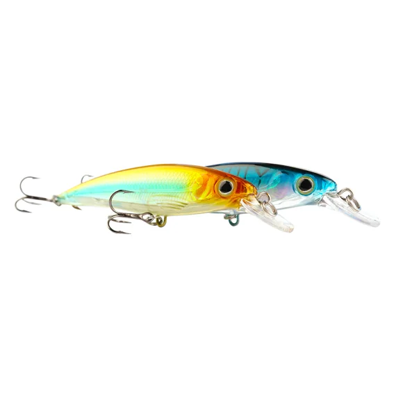 fishline202606090614503363778