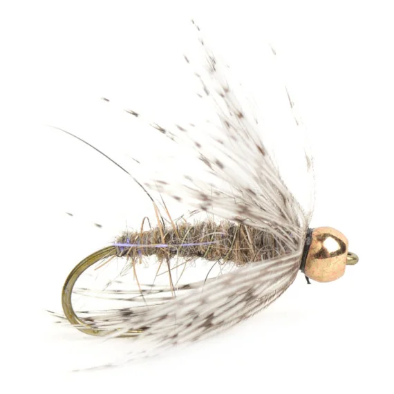fishline202606090653243364353
