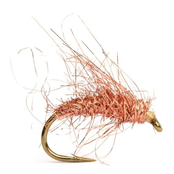 fishline202606090702403364494