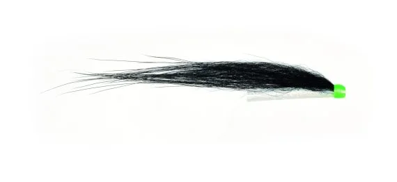 fishline202606090703493364510