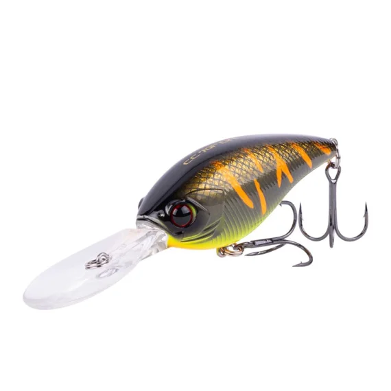 fishline202606090815373365519