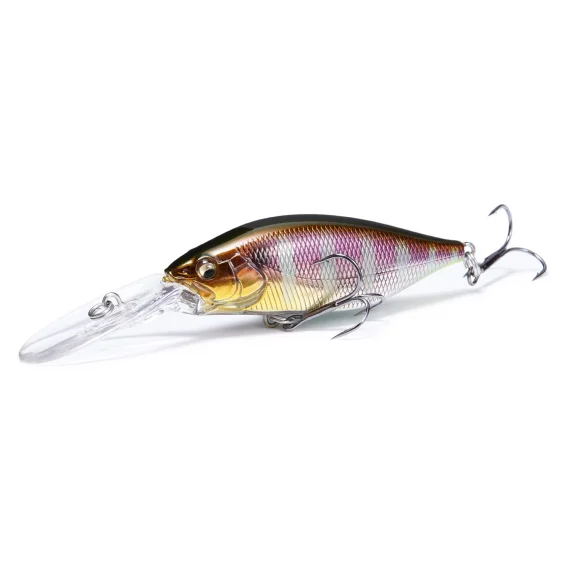 fishline202606090836193365796