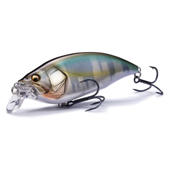 fishline202606090837333365809