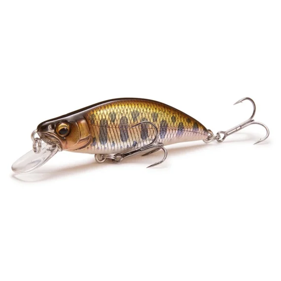 fishline202606090838383365822