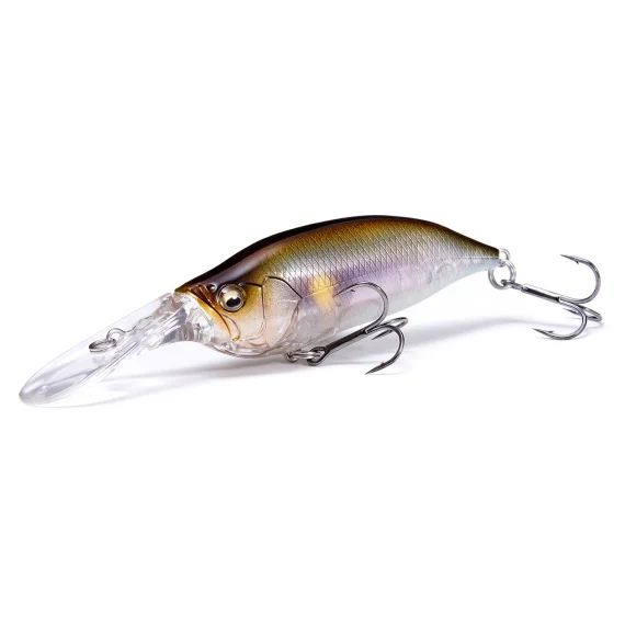 fishline202606090838573365826