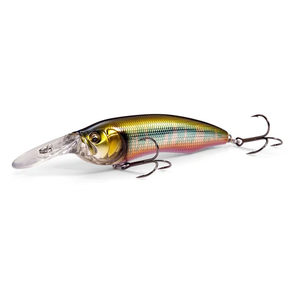 fishline202606090839533365835