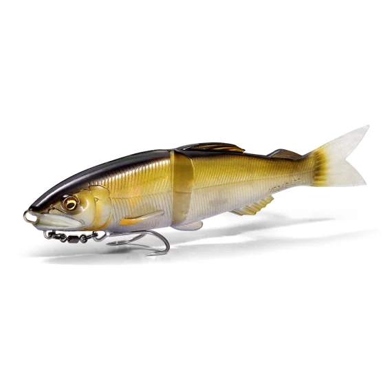 fishline202606090840153365840
