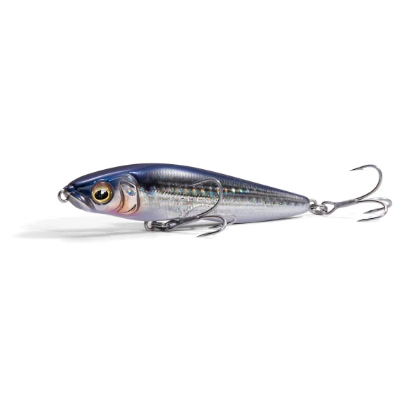 fishline202606090845143365894