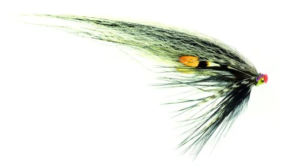 fishline202606090910433370226