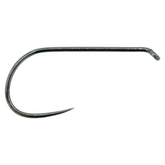 fishline202606091001053380603