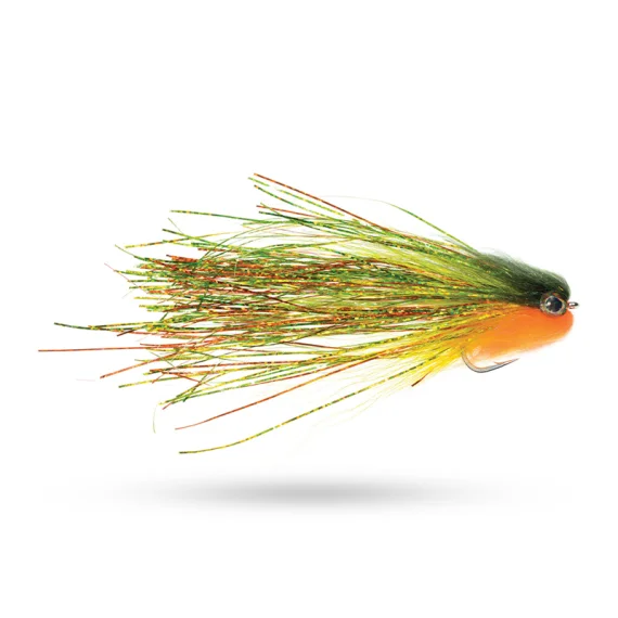 fishline202606091011283382544