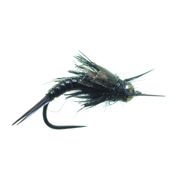 fishline202606091025383385380