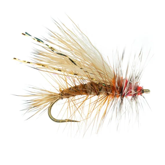 fishline202606091032043386597