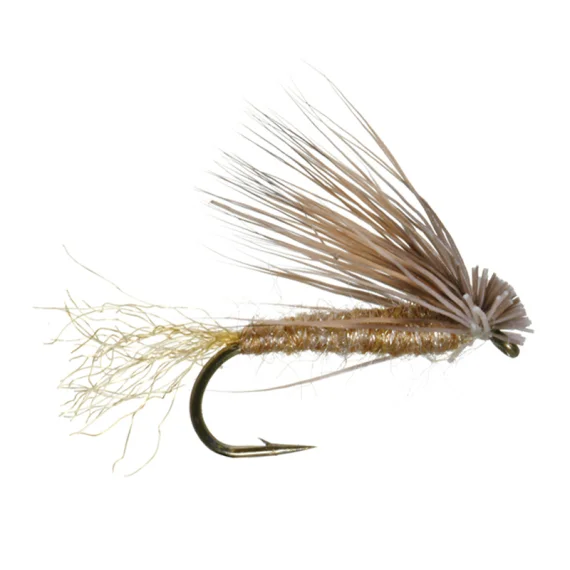 fishline202606091033083386817