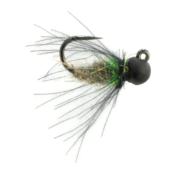 fishline202606091035253387303