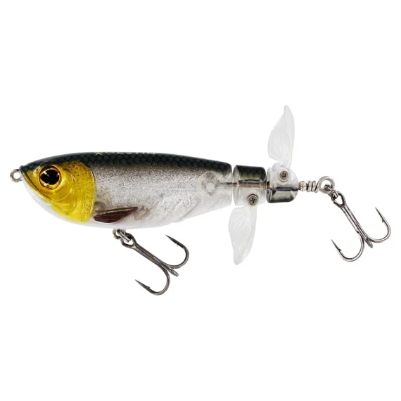 fishline202606091119243394246