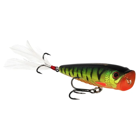 fishline202606091124533395190