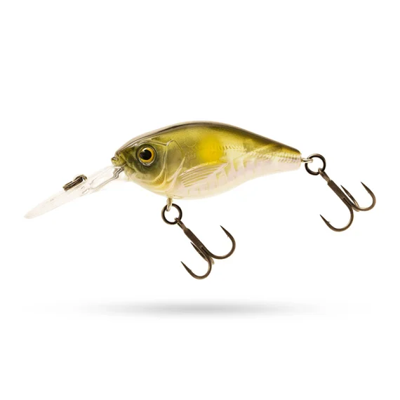 fishline202606091131233396232