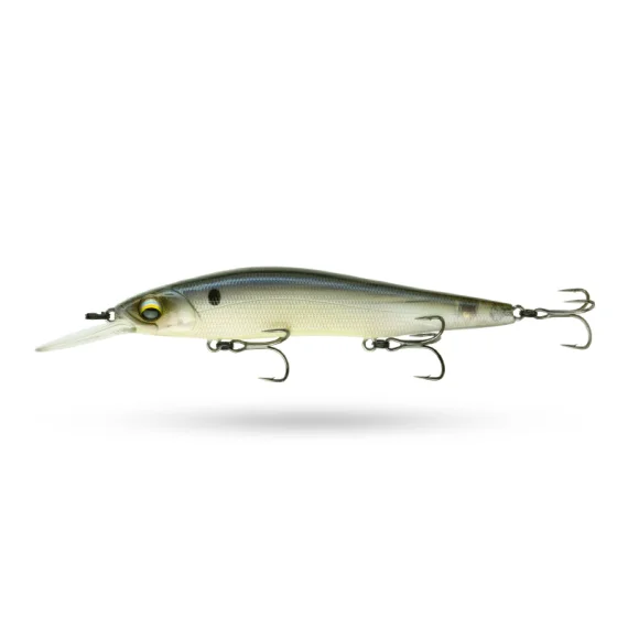 fishline202606091139463397385