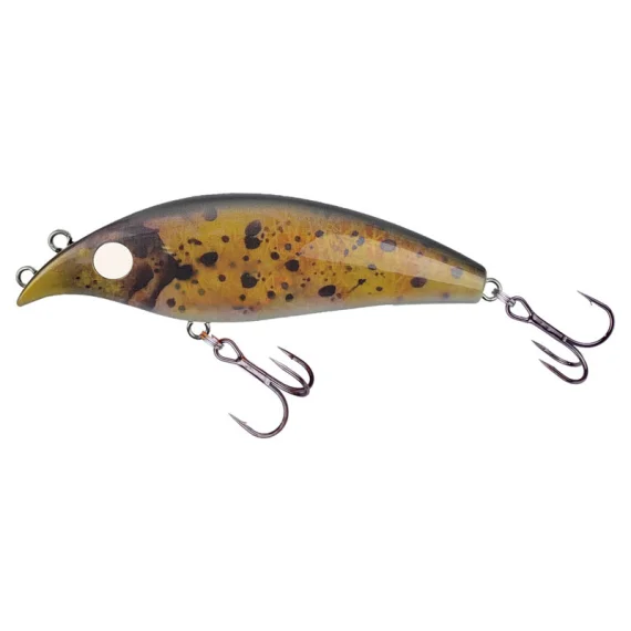 fishline202606091149103398593