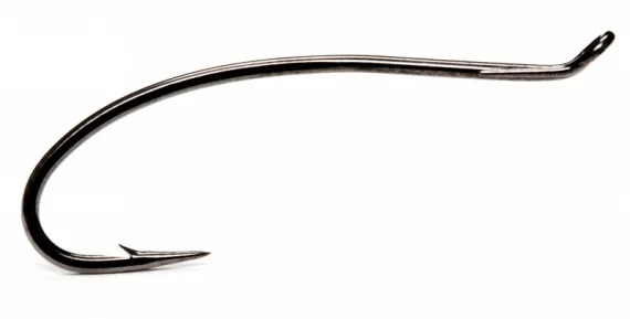 fishline202606091150363398819