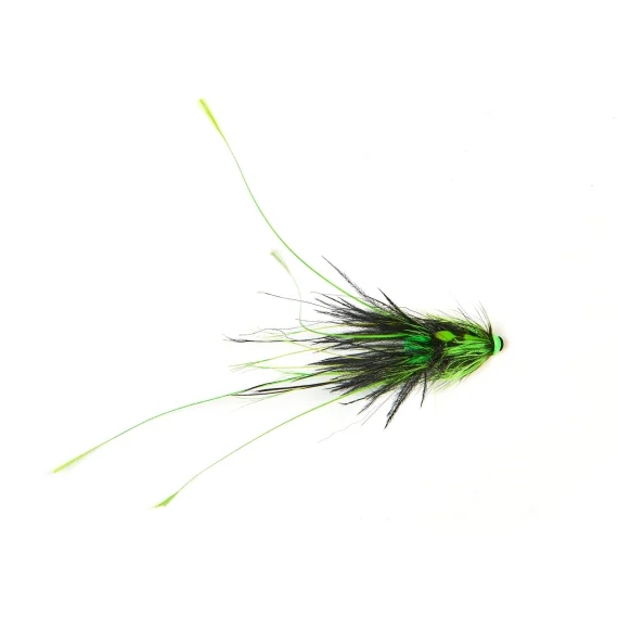fishline202606091217293403271