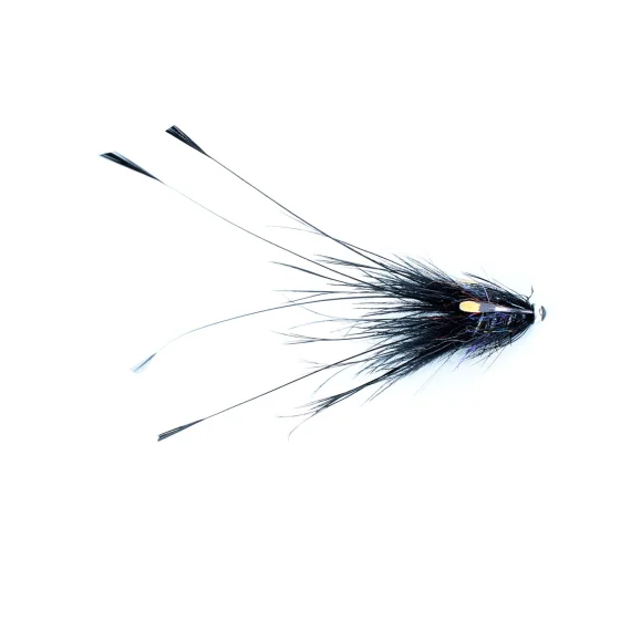 fishline202606091217313403275