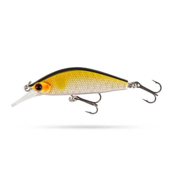 fishline202606091219253403640