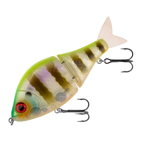 fishline202606091219433403703