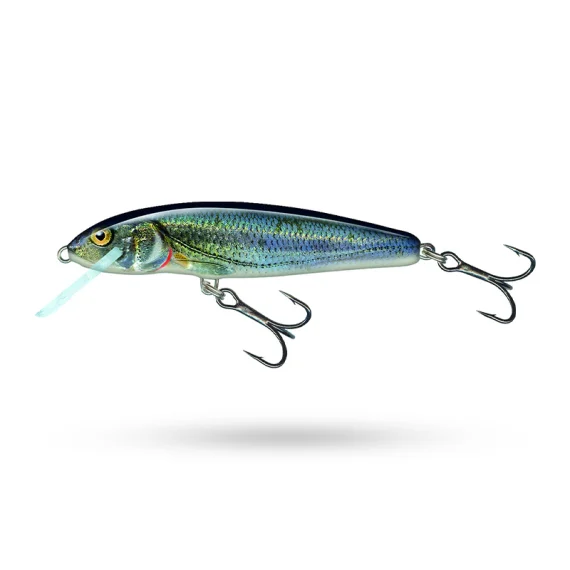 fishline202606091220163403809