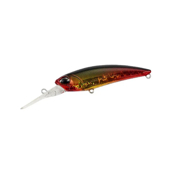 fishline202606091319413411294