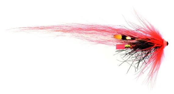 fishline202606091403403417410